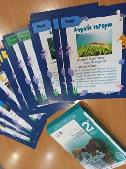 Material Didáctico Utilizado En Los Talleres Y Excursiones.