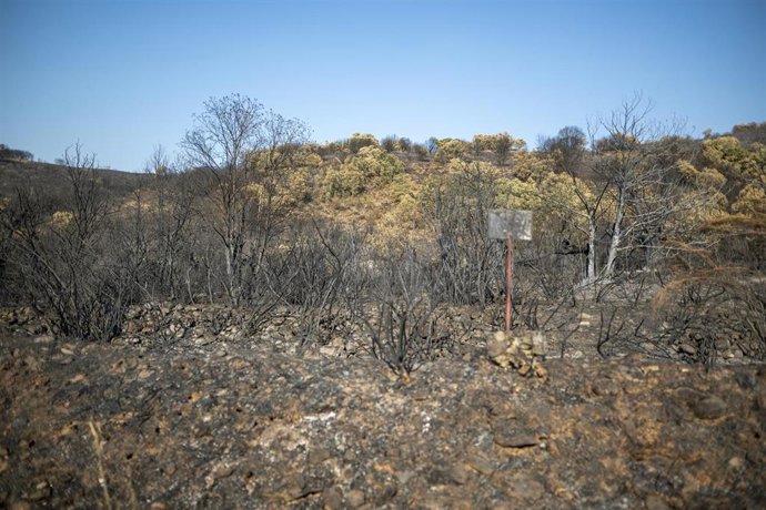 Zona calcinada de Las Médulas, a 22 de agosto de 2025, en Las Médulas, Carucedo, León, Castilla y León (España)
