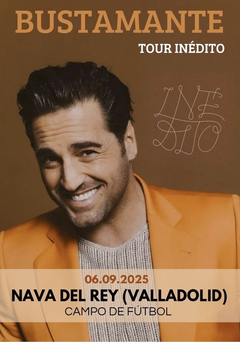 Archivo - Concierto de David Bustamante en Nava del Rey (Valladolid)