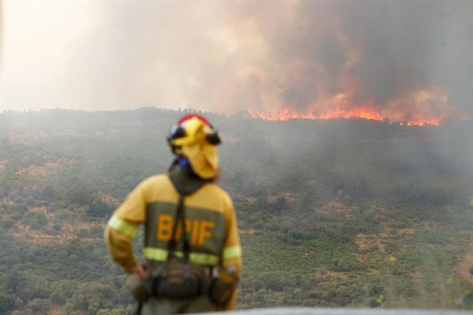 Un bombero observa el incendio forestal, a 24 de agosto de 2025, en La Baña, Encinedo, La Cabrera, León, Castilla y León (España)