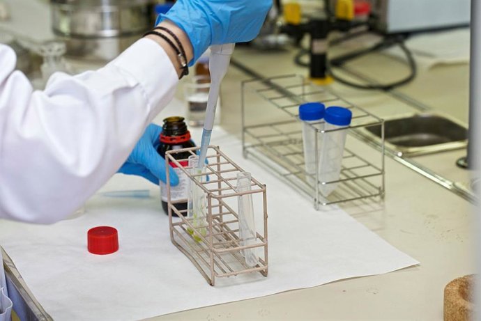 Archivo - Investigación en un laboratorio