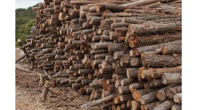 Imagen de madera destinada a la creación de biomasa