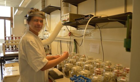 Es Andalucía - Granada