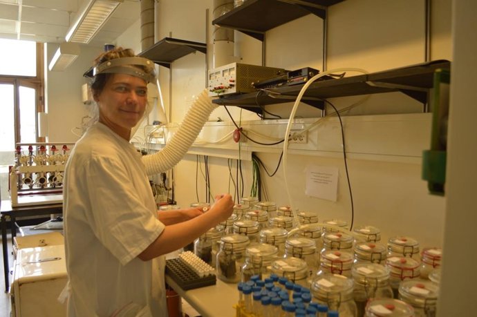 Un equipo de investigación de la Estación Experimental el Zaidín de Granada (CSIC), del Centro Tecnológico EnergyLab y de la Universidad de Copenhague ha desarrollado un tratamiento de purines de cerdo que minimiza la producción de elementos contaminantes