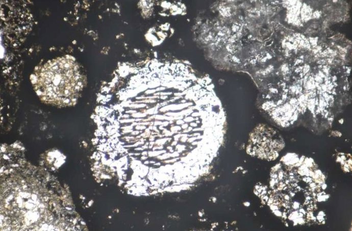 Côndilos arredondados visíveis em uma seção fina do meteorito Allende sob visão microscópica.