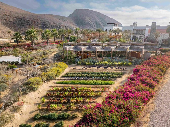 Hotel San Cristóbal, exterior cosecha jardines