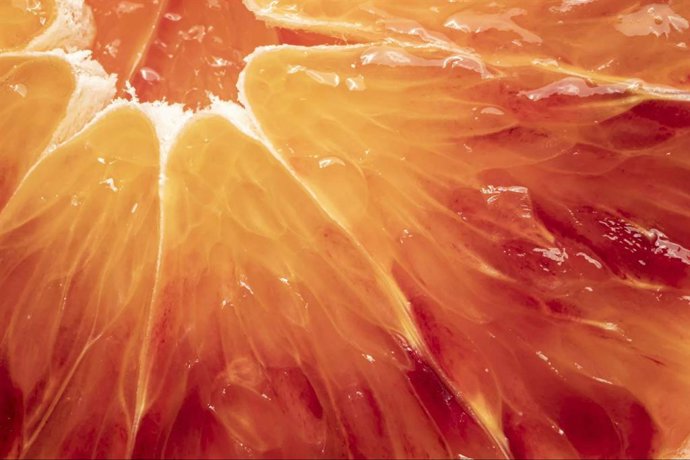 Cinturrino Fruit Management vuelve a casa; nace en Vittoria la primera agencia agroalimentaria de Sicilia