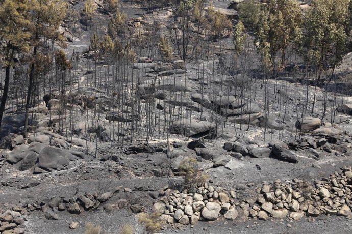 Zona calcinada por un incendio en Castelo Novo, en el centro de Portugal