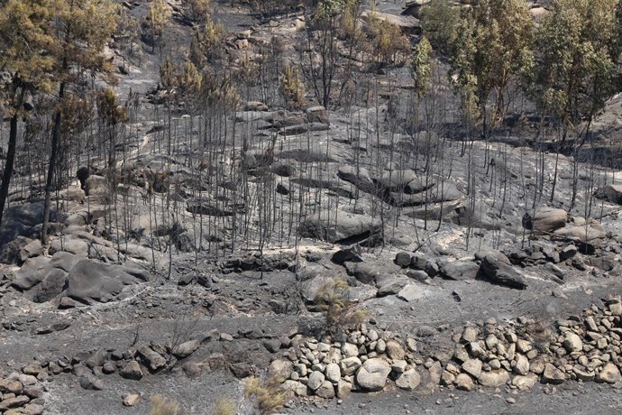 LISBOA, 22 de agosto de 2025 -- Esta foto tirada em 22 de agosto de 2025 mostra uma área devastada pelo incêndio florestal em Castelo Novo, na região central de Portugal. Os incêndios florestais que assolam as montanhas da Gardunha, na região central de P