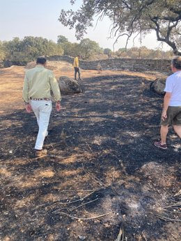El alcalde de Cáceres, Rafael Mateos, visita la urbanización Viñas de la Mata afectada por el incendio de Casar de Cáceres