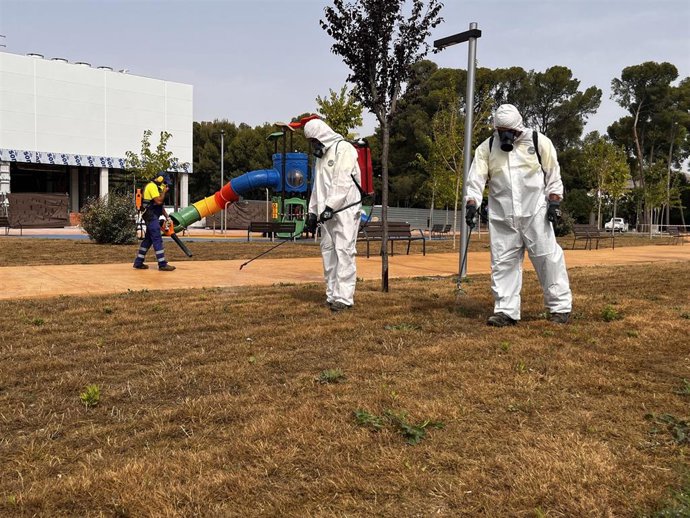 El Ayuntamiento de Petrer (Alicante) actúa contra una plaga de orugas en la zona ajardinada de Luvi
