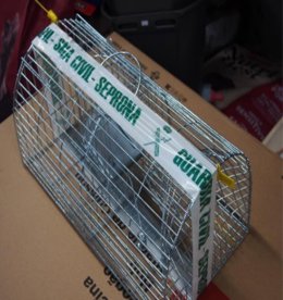 Jaulas-trampa intervenidas en establecimientos de Lugo.