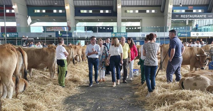 Inauguración del CXLI Certamen de Ganado de San Agustín.