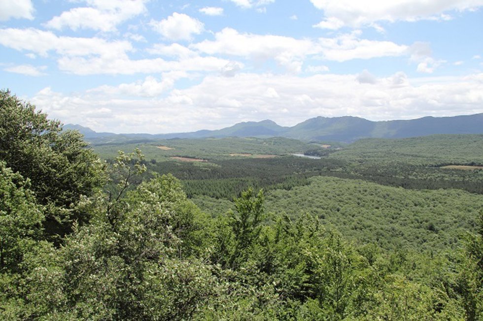 Archivo - Parque Natural de Izki (Álava)