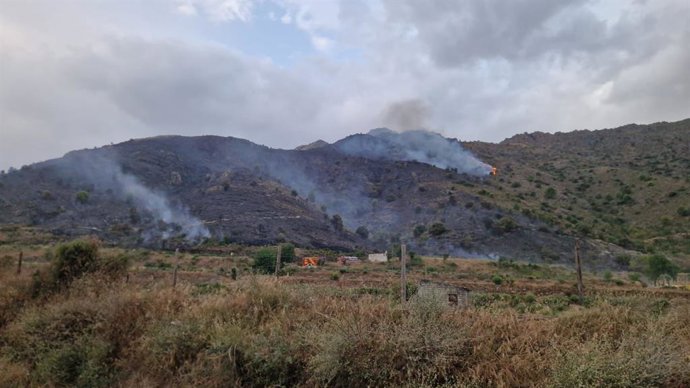 Incendio forestal en Alhama de Granada.