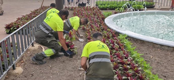 Los operarios plantan flores con motivo de la Feria de Septiembre