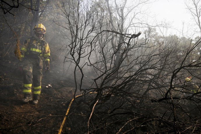 Varios bomberos forestales tratan de extinguir el fuego, a 19 de agosto de 2025, en Palacios de Compludo, León, Castilla y León (España).