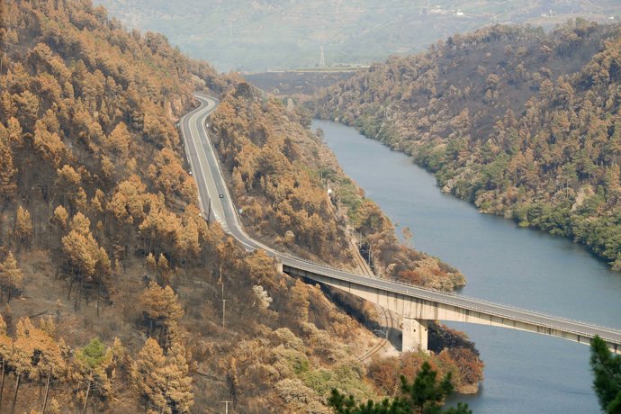 Vista del campo quemado tras el incendio, a 24 de agosto de 2025, en Seadur, Ourense, Galicia (España). El incendio, que se originó el pasado 13 de agosto, en la localidad de Larouco ha quedado estabilizado tras arrasar más de 30.000 hectáreas.