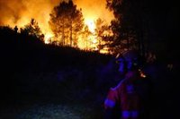 El Gobierno declara 'zona catastrófica' por incendios y danas territorios en todas las CCAA, excepto País Vasco