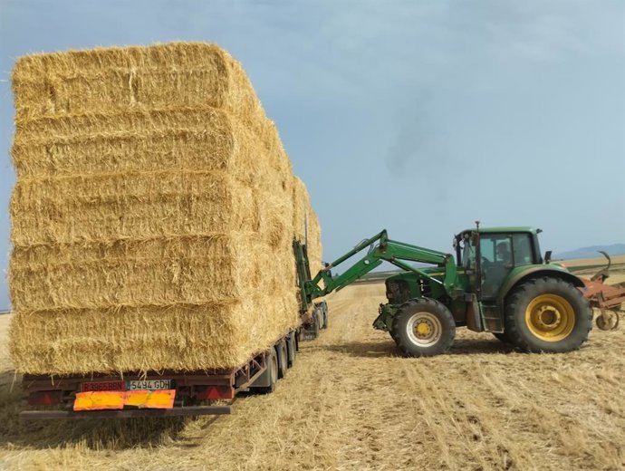 La Junta entrega paja a los ganaderos afectados por los distintos incendios de este verano