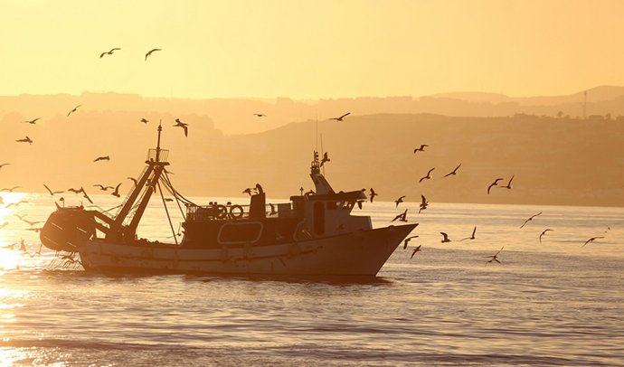 Archivo - Barco faenando al amanecer.