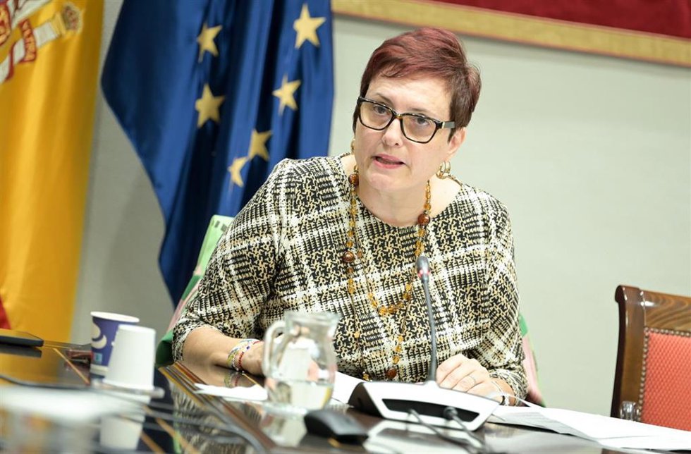 Archivo - La consejera de Bienestar Social del Gobierno de Canarias, Candelaria Delgado