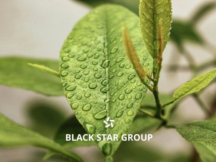 Black Star Group: maquinaria agrícola