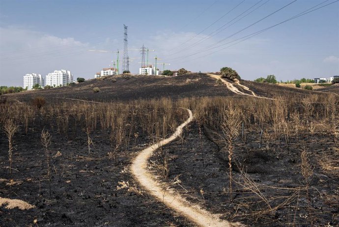 Vista del terreno quemado en Tres Cantos