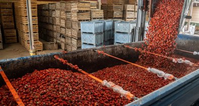 EpAgro - Agricultura