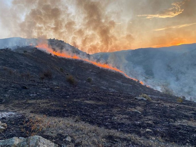 Incendio forestal en la zona de Valdeperillo (La Riioja)
