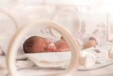 Foto: Desarrollan un modelo de IA multiómica que aumenta a casi un 90% la precisión de la predicción de parto prematuro