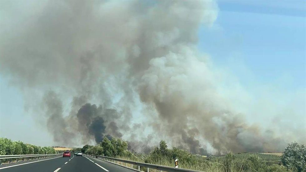 Incendio en Bonares (Huelva) el pasado 17 de agosto.