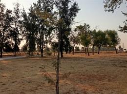 Parque del Tamarguillo.