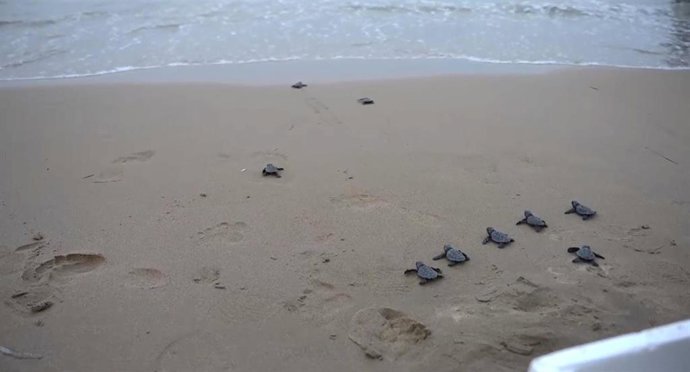 Vídeo de la noticia