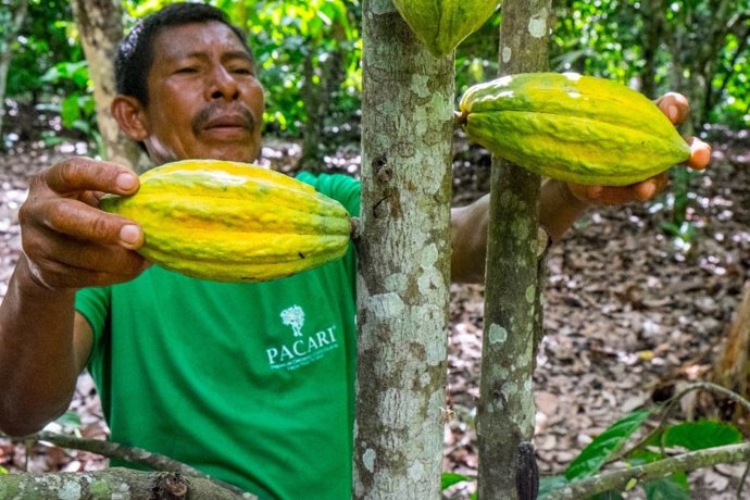 Ecuador se consolida como destino de turismo gastronómico con las 'Rutas del Cacao'