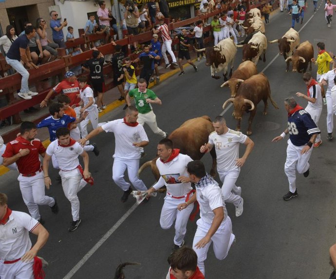 El cuarto encierro de las Fiestas de San Sebastián de los Reyes.