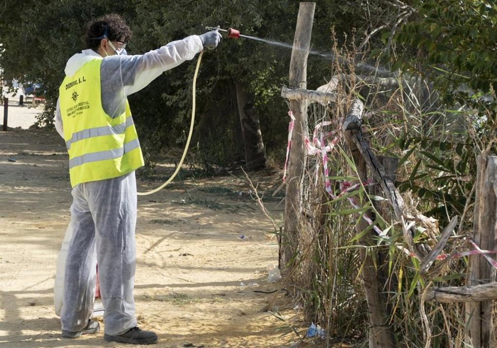 Una persona lleva a cabo tratamientos para combatir el virus del Nilo.