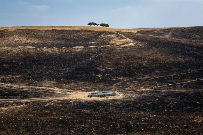 Vídeo de la noticia