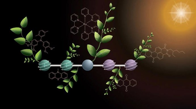 Descripción gráfica de la nueva molécula para la fotosíntesis artificial