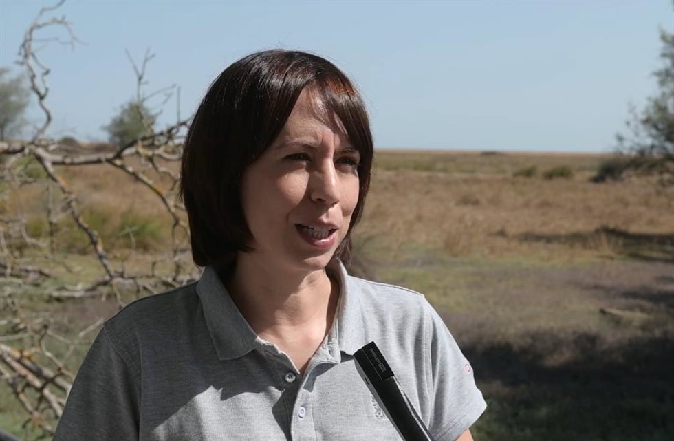 La ministra de Ciencia, Innovación y Universidades, Diana Morant, en su visita este miércoles a Doñana.