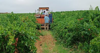 EpAgro - Agricultura