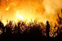 Los incendios han quemado más de 362.000 hectáreas en toda España entre el 1 y el 21 de agosto, según Copernicus