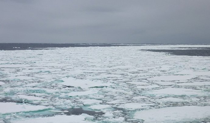 Archivo - Hielo marino antártico