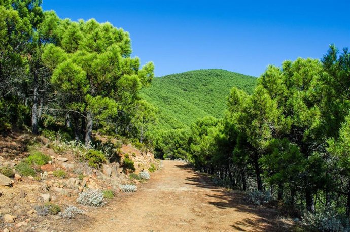 Archivo - Imagen de archivo de Sierra Bermeja