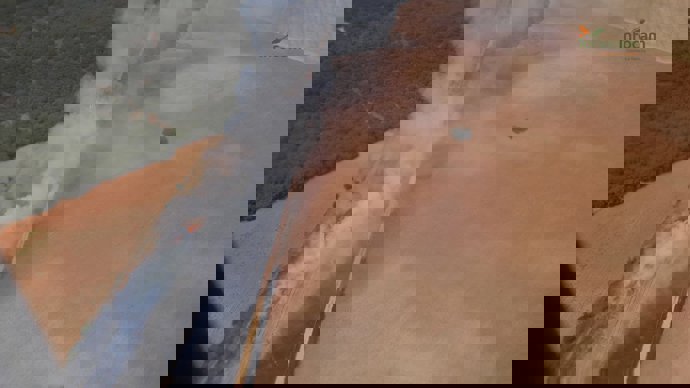 Incendio en Yebes (Guadalajara) que ha obligado a cortar la circulación del AVE