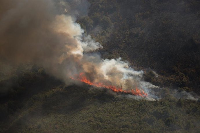 Efectivos aéreos de los bomberos durante las labores de extinción del un incendio forestal