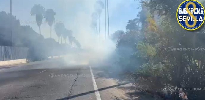 Incendio de vegetación junto al Parque del Tamarguillo.