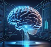 Foto: La neurogenómica computacional abre la puerta a tratamientos personalizados para trastornos cerebrales