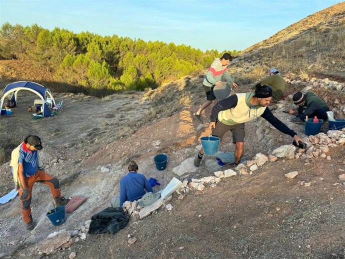 Excavación en yacimiento paleontológico