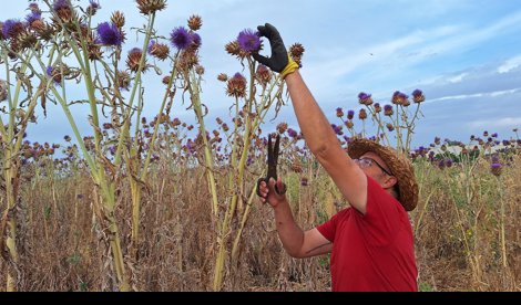 Comunicados Sociedad
